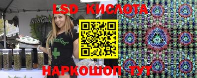 индика Рузаевка