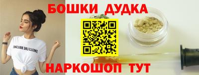 индика Рузаевка
