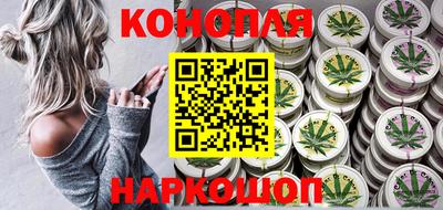 индика Рузаевка