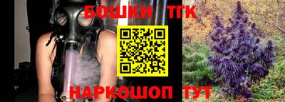 индика Рузаевка