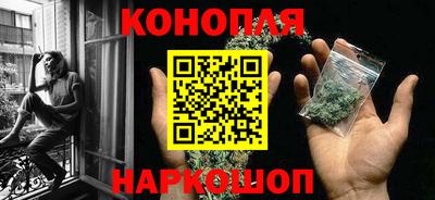 индика Рузаевка