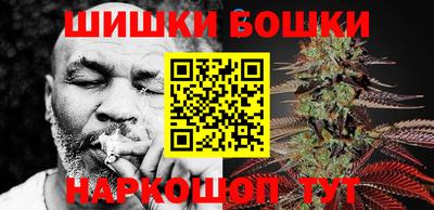 индика Рузаевка