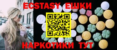 индика Рузаевка