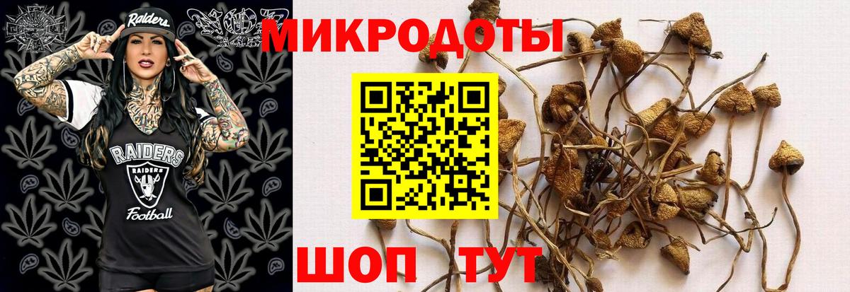 закладки  Галлюциногенные грибы Psilocybine cubensis  Вход с VPN  Набережные Челны 